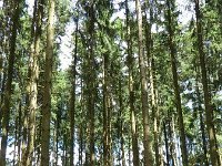 Troisvierges 18.7.2016 296