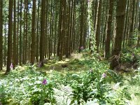 Troisvierges 18.7.2016 297