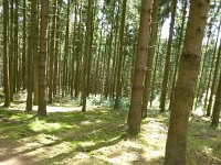 Troisvierges 18.7.2016 298