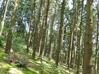 Troisvierges 18.7.2016 299