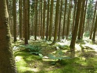 Troisvierges 18.7.2016 301