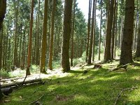 Troisvierges 18.7.2016 304
