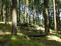 Troisvierges 18.7.2016 306