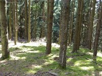 Troisvierges 18.7.2016 308