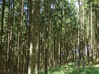 Troisvierges 18.7.2016 310