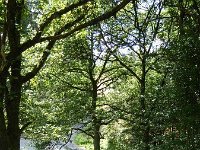 Troisvierges 18.7.2016 315
