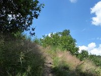 Troisvierges 18.7.2016 316