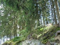 Troisvierges 18.7.2016 320