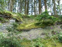 Troisvierges 18.7.2016 322