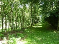 Troisvierges 18.7.2016 327