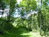 Troisvierges 18.7.2016 328
