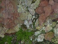 Troisvierges 18.7.2016 330