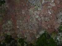 Troisvierges 18.7.2016 331