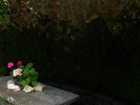 Troisvierges 18.7.2016 332