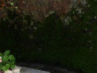Troisvierges 18.7.2016 333