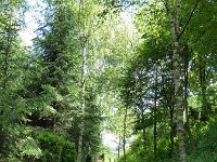 Troisvierges 18.7.2016 338