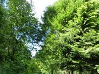 Troisvierges 18.7.2016 339