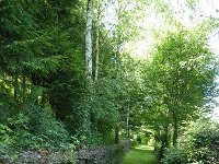 Troisvierges 18.7.2016 340