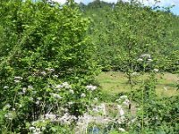 Troisvierges 18.7.2016 368