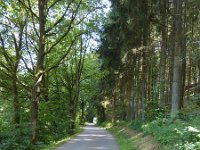 Troisvierges 18.7.2016 377