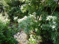 Troisvierges 18.7.2016 394