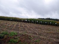 Franziskuswanderung 30.9.2017 099