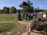 Wanderung Diekirch 29.9.2018 023