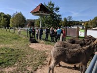 Wanderung Diekirch 29.9.2018 024