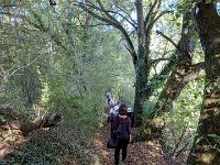 Wanderung Diekirch 29.9.2018 045