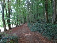 Wanderung Diekirch 29.9.2018 067