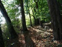 Wanderung Diekirch 29.9.2018 070