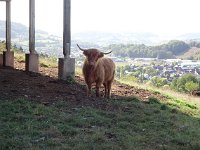 Wanderung Diekirch 29.9.2018 099